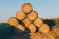 Straw bales on farmland in the sunset Royalty Free Stock Photo