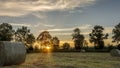 Straw bales on farmland at sunset with trees in background Royalty Free Stock Photo