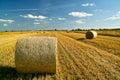 Straw bales on the field