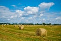 Field with straw bales. Harvest. Countryside. Royalty Free Stock Photo