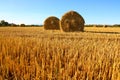 Straw bales in a field Royalty Free Stock Photo