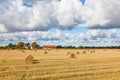 Straw bales at a field with a farm