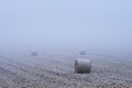 Straw bales on field Royalty Free Stock Photo