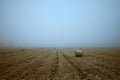 Straw bales on field Royalty Free Stock Photo