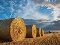 Straw bales on the field at sunset. 3d render Generative AI Royalty Free Stock Photo