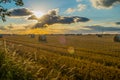 straw bales in a field at sunset with lens flare from sun Royalty Free Stock Photo