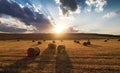 Straw bales in the field at sunset and nice shadows Royalty Free Stock Photo