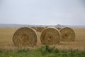 Straw bales on a field in Sweden a rainy autumn day.