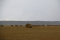 Straw bales on a field in Sweden a rainy autumn day.