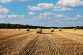 Straw bales on the field under blue sky with white clouds Royalty Free Stock Photo