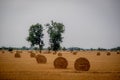 Straw bales in a field under a threatening sky. Royalty Free Stock Photo