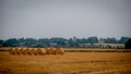 Straw bales in a field under a threatening sky. Royalty Free Stock Photo