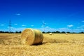 Straw bales in the field with wind turbines in the background