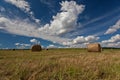 Straw bales after harvest 1 Royalty Free Stock Photo
