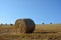 Straw bales on harvested field with many hay bales in horizont Royalty Free Stock Photo