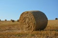 Straw bales on harvested field with many hay bales in horizont Royalty Free Stock Photo