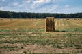 Straw bales on a harvested wheat field. Food supply. Agriculture to feed humanity Royalty Free Stock Photo
