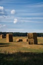 Straw bales on a harvested wheat field. Food supply. Agriculture to feed humanity Royalty Free Stock Photo