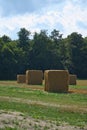 Straw bales on a harvested wheat field. Food supply. Agriculture to feed humanity Royalty Free Stock Photo