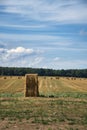 Straw bales on a harvested wheat field. Food supply. Agriculture to feed humanity Royalty Free Stock Photo