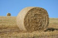 A straw bales and a hay ball in the horizon on harvested field Royalty Free Stock Photo