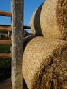 Straw bales in a hayrack