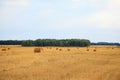 Straw bales in irish countryside