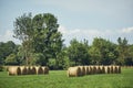 Straw bales Meadow tree