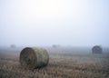 straw bales in misty morning field near rouen in france Royalty Free Stock Photo