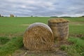 The straw bales on the mown hayfield.