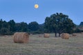 Straw bales next to an oak tree during a summer sunset and with the full moon rising in the background. Royalty Free Stock Photo