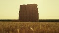 Straw bales pile field after harvest season. Large square haystack at farmland.