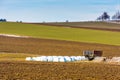 Straw bales placed on field in countryside. Landscape of big field and meadow. Agriculture and harvest on czech countryside. Royalty Free Stock Photo