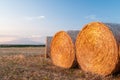 Straw bales in the late afternooon