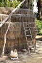 Straw Bales Stacked Next To Wooden Ladder