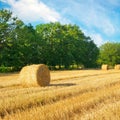 Straw bales on a wheat field and blue sky Royalty Free Stock Photo