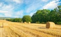 Straw bales on a wheat field and blue sky Royalty Free Stock Photo