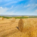 Straw bales on wheat field and blue sky. Royalty Free Stock Photo