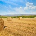 Straw bales on wheat field and blue sky. Royalty Free Stock Photo