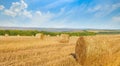 Straw bales on a wheat field and blue sky. Wide photo. Royalty Free Stock Photo