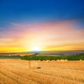 Straw bales on a wheat field and and sunrise Royalty Free Stock Photo