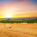 Straw bales on a wheat field and and sunrise Royalty Free Stock Photo