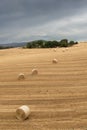 Straw bales after the wheat harvesting Royalty Free Stock Photo