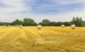 Straw balles on field in Spain. Royalty Free Stock Photo