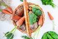 Straw Basket with garden Vegetables - fresh carrots, beets, broccoli, onions on the white wooden background. Farm Harvest. Food or Royalty Free Stock Photo