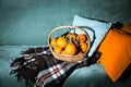 straw basket with pumpkins on the sofa, autumn room decor, Coziness and warmth