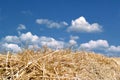 Straw, blue sky and clouds Royalty Free Stock Photo