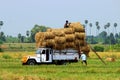 Straw Bundle Transport with Tempo