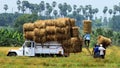 Straw Bundle Transport with Tempo