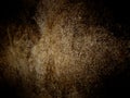 Straw, chaff, halm Texture. A Natural dry straw, chaff, halm Texture Background. Royalty Free Stock Photo